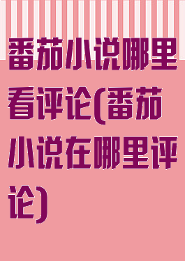 番茄小说哪里看评论(番茄小说在哪里评论)