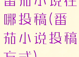 番茄小说在哪投稿(番茄小说投稿方式)