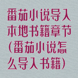 番茄小说导入本地书籍章节(番茄小说怎么导入书籍)