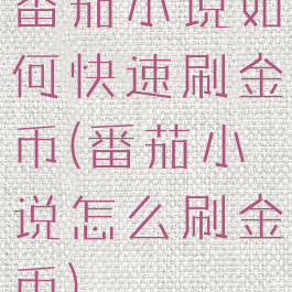 番茄小说如何快速刷金币(番茄小说怎么刷金币)