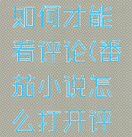 番茄小说如何才能看评论(番茄小说怎么打开评论展示)