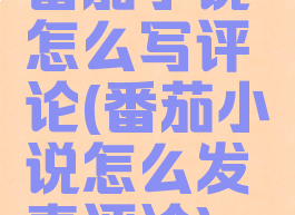 番茄小说怎么写评论(番茄小说怎么发表评论)