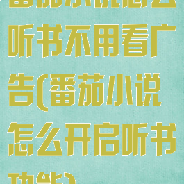 番茄小说怎么听书不用看广告(番茄小说怎么开启听书功能)