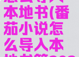 番茄小说怎么导入本地书(番茄小说怎么导入本地书籍2022)