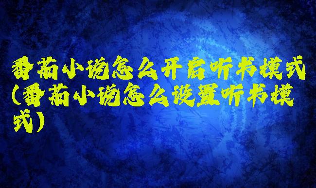 番茄小说怎么开启听书模式(番茄小说怎么设置听书模式)