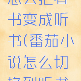 番茄小说怎么把看书变成听书(番茄小说怎么切换到听书界面)