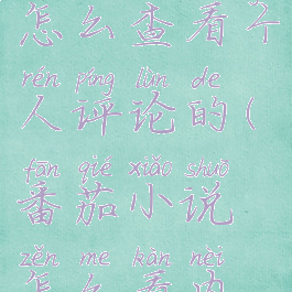 番茄小说怎么查看个人评论的(番茄小说怎么看内容评论)