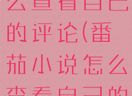 番茄小说怎么查看自己的评论(番茄小说怎么查看自己的评论内容)