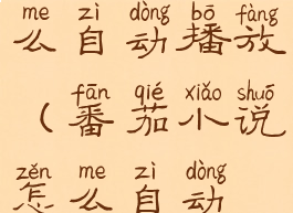 番茄小说怎么自动播放(番茄小说怎么自动播放广告)