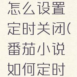 番茄小说怎么设置定时关闭(番茄小说如何定时关闭)