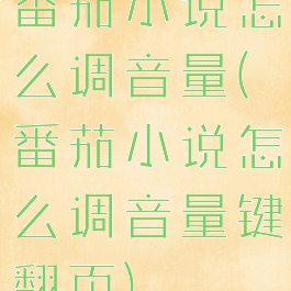 番茄小说怎么调音量(番茄小说怎么调音量键翻页)