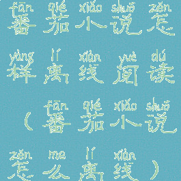 番茄小说怎样离线阅读(番茄小说怎么离线)