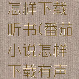 番茄小说怎样下载听书(番茄小说怎样下载有声小说)