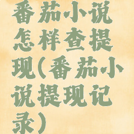 番茄小说怎样查提现(番茄小说提现记录)