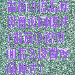 番茄小说怎样设置夜间模式(番茄小说页面怎么设置夜间模式)