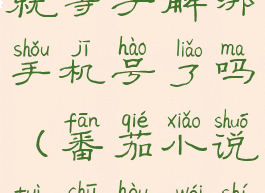 番茄小说退出登录也就等于解绑手机号了吗(番茄小说退出后为什么都清空了)