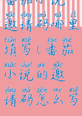 番茄小说邀请码哪里填写(番茄小说的邀请码怎么写)