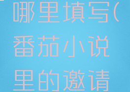 番茄小说邀请码在哪里填写(番茄小说里的邀请码在哪里填)