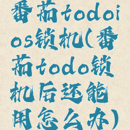 番茄todoios锁机(番茄todo锁机后还能用怎么办)
