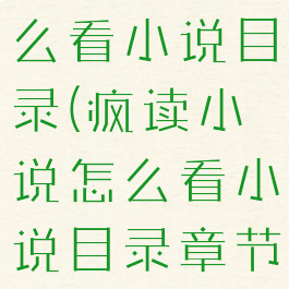 疯读小说怎么看小说目录(疯读小说怎么看小说目录章节)