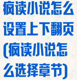 疯读小说怎么设置上下翻页(疯读小说怎么选择章节)