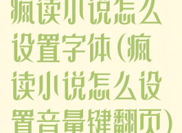 疯读小说怎么设置字体(疯读小说怎么设置音量键翻页)