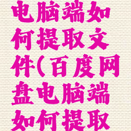 百度网盘电脑端如何提取文件(百度网盘电脑端如何提取文件内容)