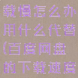 百度网盘下载慢怎么办用什么代替(百度网盘的下载速度太慢了)