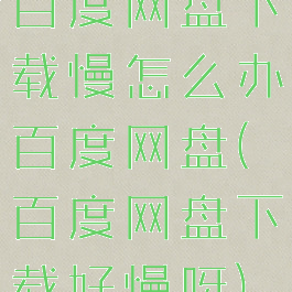 百度网盘下载慢怎么办百度网盘(百度网盘下载好慢呀)