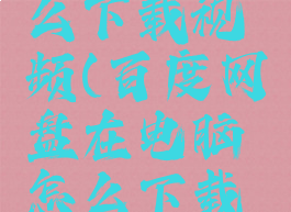 百度网盘在电脑怎么下载视频(百度网盘在电脑怎么下载视频到桌面)