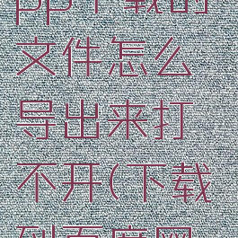 百度网盘app下载的文件怎么导出来打不开(下载到百度网盘的文件)