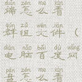 百度网盘pc端怎么看群组文件(电脑百度网盘怎么看群文件夹)