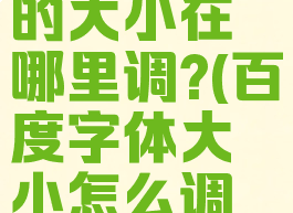 百度字体的大小在哪里调?(百度字体大小怎么调大的?)