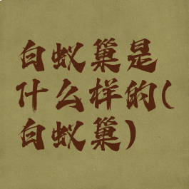 白蚁巢是什么样的(白蚁巢)