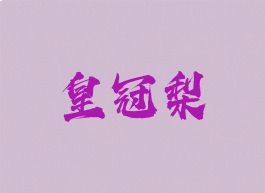 皇冠梨