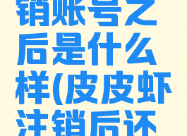 皮皮虾注销账号之后是什么样(皮皮虾注销后还能注册吗)