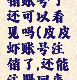皮皮虾注销账号了还可以看见吗(皮皮虾账号注销了,还能注册回来吗?)