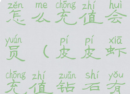 皮皮虾app怎么充值会员(皮皮虾充值钻石有什么用)