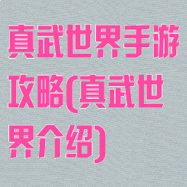 真武世界手游攻略(真武世界介绍)