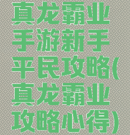 真龙霸业手游新手平民攻略(真龙霸业攻略心得)
