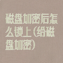 磁盘加密后怎么锁上(给磁盘加密)