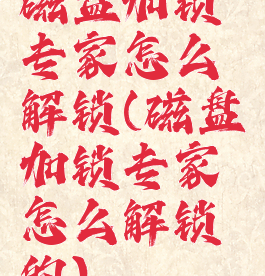 磁盘加锁专家怎么解锁(磁盘加锁专家怎么解锁的)