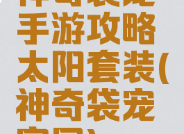 神奇袋宠手游攻略太阳套装(神奇袋宠官网)