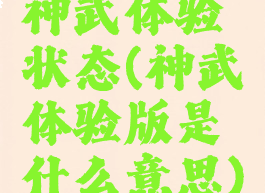 神武体验状态(神武体验版是什么意思)