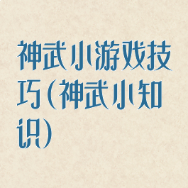 神武小游戏技巧(神武小知识)
