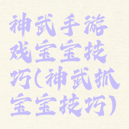 神武手游戏宝宝技巧(神武抓宝宝技巧)