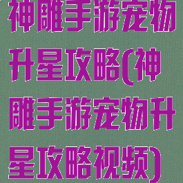 神雕手游宠物升星攻略(神雕手游宠物升星攻略视频)