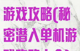 秘密潜入单机游戏攻略(秘密潜入单机游戏攻略大全)