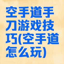 空手道手刀游戏技巧(空手道怎么玩)