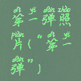 第一弹照片(“第一弹”)